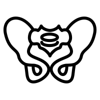 FysioInMotion